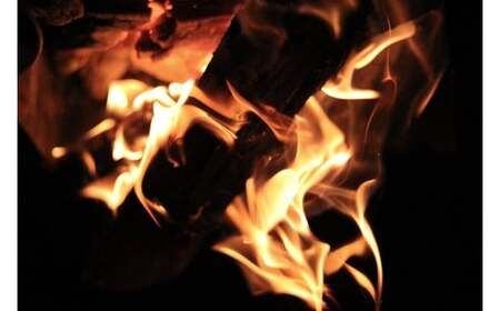 薪（広葉樹 ミックス）約14kg×2箱 計約28kg 長さ約30cm まき 木 木材 薪ストーブ ストーブ 薪割り 割り薪 アウトドア キャンプ キャンプ用品 焚き火 焚火 暖炉 ディスプレイ インテ