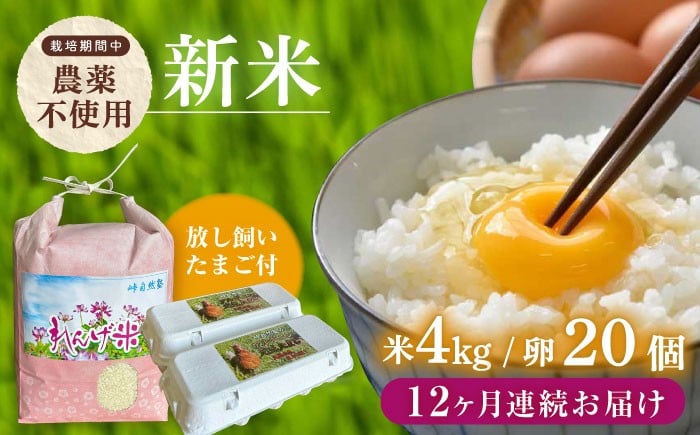 
            【全12回定期便】【令和7年度米】4kg・放し飼いたまご20個セット ヒノヒカリれんげ米 元気たまご【浅田峠自然塾】 [EA22]
          