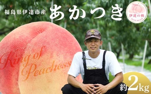 
            キングオブピーチ 桃 「あかつき」約2kg（6～8玉）あかつき 伊達の桃 桃 もも モモ 果物 くだもの フルーツ 国産 食品 F21C-131
          
