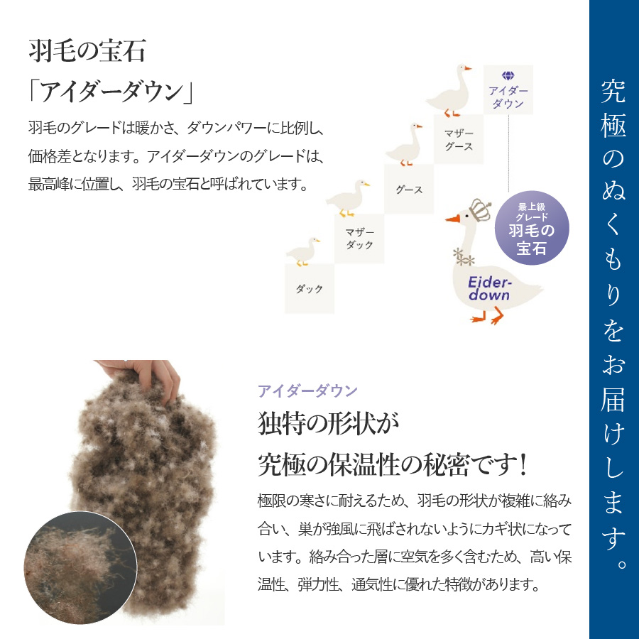 【甲州羽毛肌掛けふとん】銀の糸×アイダーダウン95％ (シングル / アイボリー) お任せカバー付き 羽毛布団