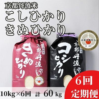 ふるさと納税 亀岡市 【毎月定期便】京都丹波米 こしひかり5kg・きぬひかり5kg 食べ比べ全6回
