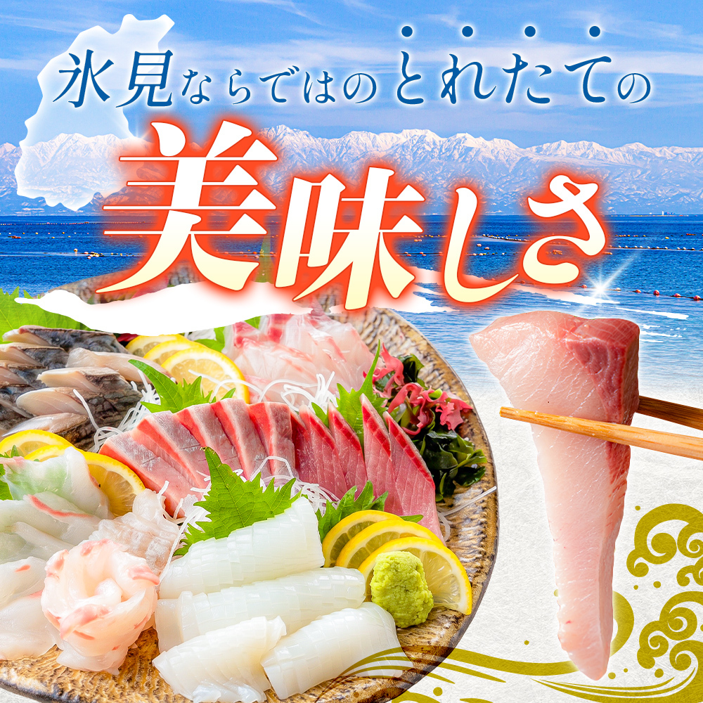 【冷蔵】刺身詰め合わせ（柵） 2-3人前（3種類） | 釣屋魚問屋直営 ひみ岸壁市場_イメージ2