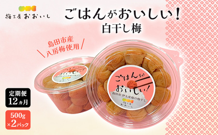 梅干し 白干し梅 八房梅使用 梅干し【500g×2パック】【定期便12ヶ月】