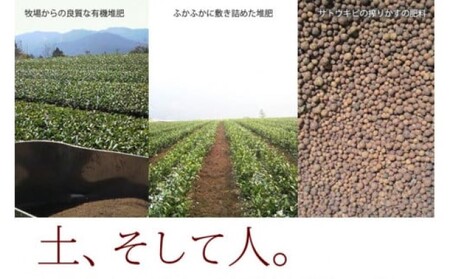 【八女茶】奥八女星野村　八女伝統本玉露 50g×２袋