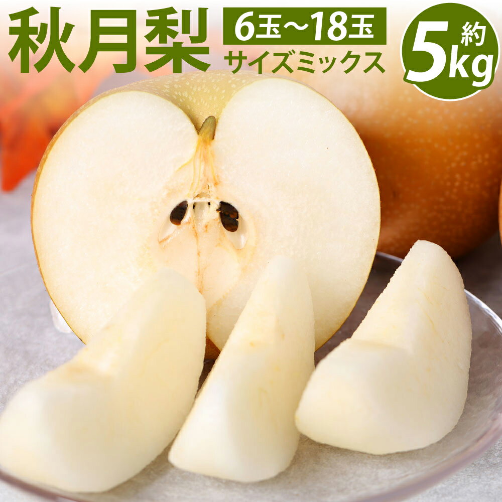 【ふるさと納税】 【先行予約】 熊本県産 秋月梨 サイズミックス 約5kg 6玉～18玉 梨 ナシ 熊本県 八代市 果物 フルーツ 旬 送料無料 【2025年8月下旬より順次発送】