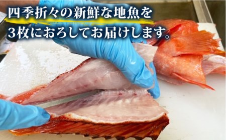 【全4回定期便】旬の地魚セット2-3人前（3枚卸し）真空パック 五島市/五島FF[PBJ001]  冷蔵 鮮魚 魚介 魚 鮮魚 魚 定期便
