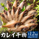 【ふるさと納税】干物セット カレイ 2種 1.2kg 送料無料 20枚前後(大5～8枚 小11～15枚) 食べ比べ ギフト 一夜干し カレイ 詰合わせ 海鮮セット ひもの 詰め合わせ 朝食 おかず 酒 あて 酒の肴 珍味 海鮮 おつまみ 父の日 魚 海鮮 魚介類 保存 無添加 無着色 国産 冷凍 33-13