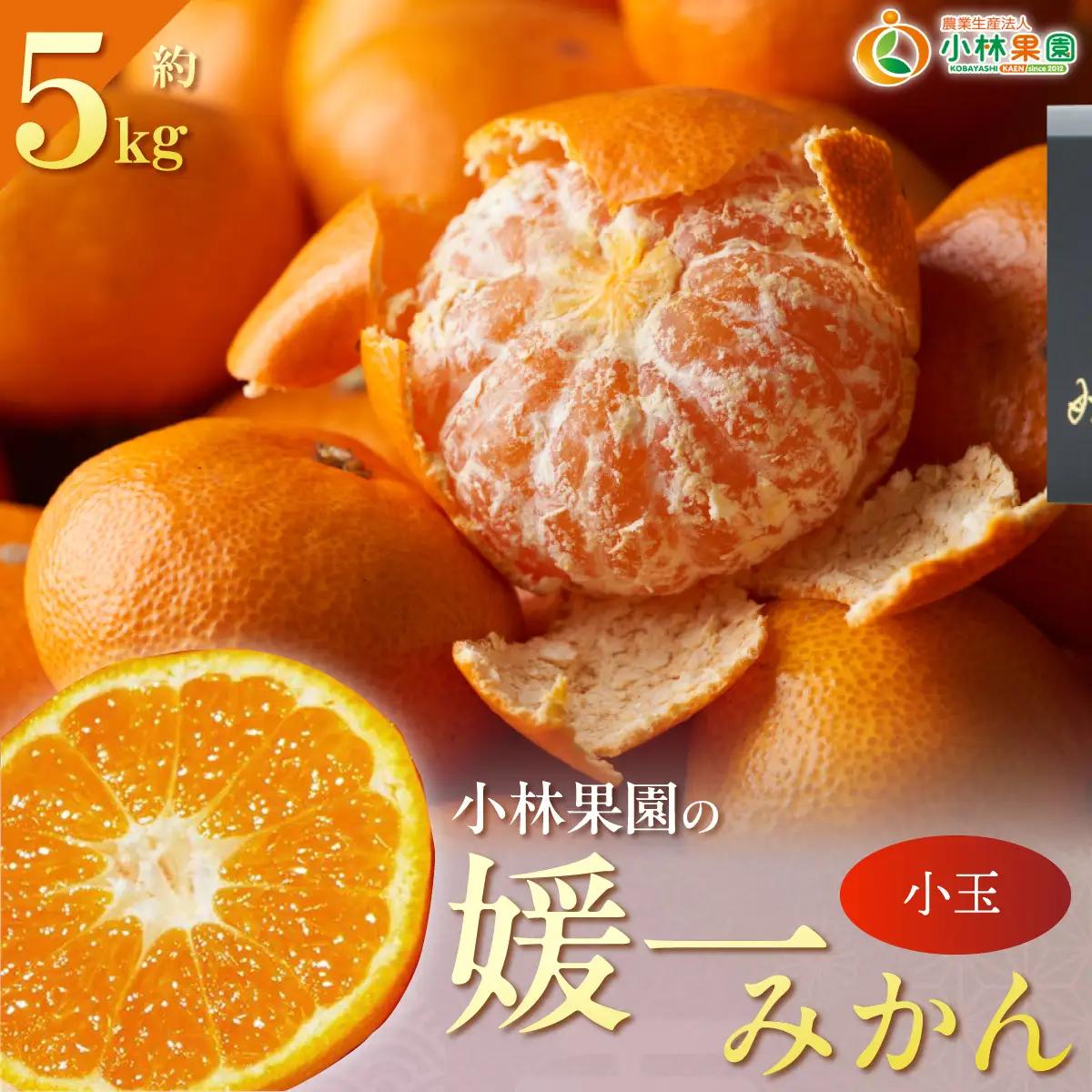 【先行受付】小林果園の媛一みかん【小粒】約5kg【C24-34】【1633616】 YWTAD025