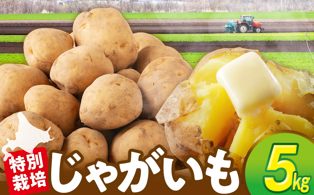 R7年産先行受付 じゃがいも 5kg 特別栽培（男爵） | ジャガイモ 芋 男爵 馬鈴薯 大容量 新鮮 野菜 煮物 カレー シチュー ポテト 保存 特産 産地直送 北海道 津別町 送料無料