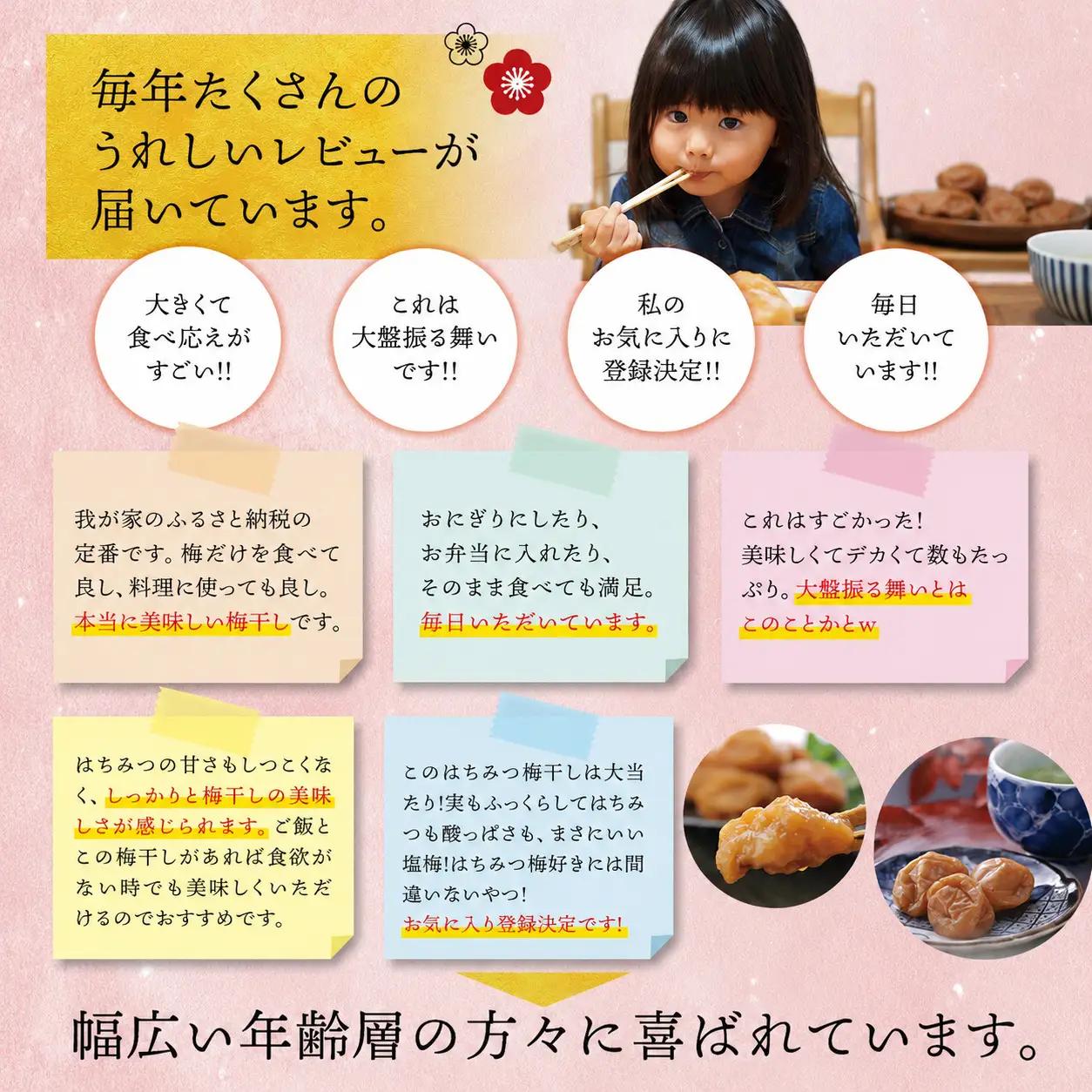 梅干し 紀州南高はちみつ梅干し 1.4kg 大粒 ご家庭用【inm100C】