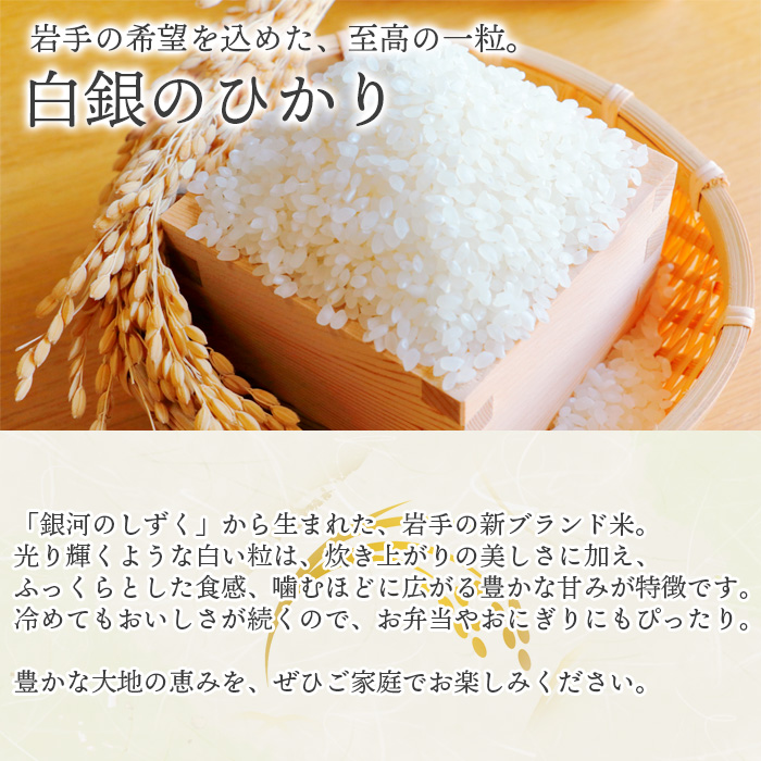 【令和7年産】 新米 10月中旬発送開始予定 白銀のひかり （岩手141号）  玄米 5kg ／ かきのうえ こめ 米 コメ お米 おこめ ご飯 ごはん げんまい