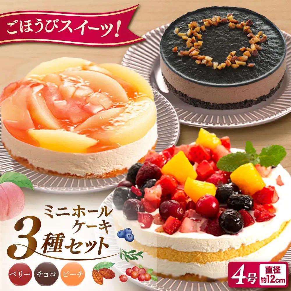 ホールケーキ 3種 フルーツ / チョコムース / レアチーズ 糸島市 / 五洋食品産業 [AQD017]  ケーキ 冷凍