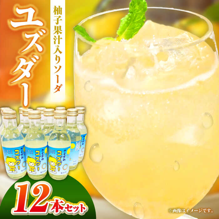 【ふるさと納税】ユズダー12本セット ご当地サイダー サイダー ソーダ ジュース 柚子 ゆず 三次市 / NPO法人 元気むらさくぎ[APAY001]