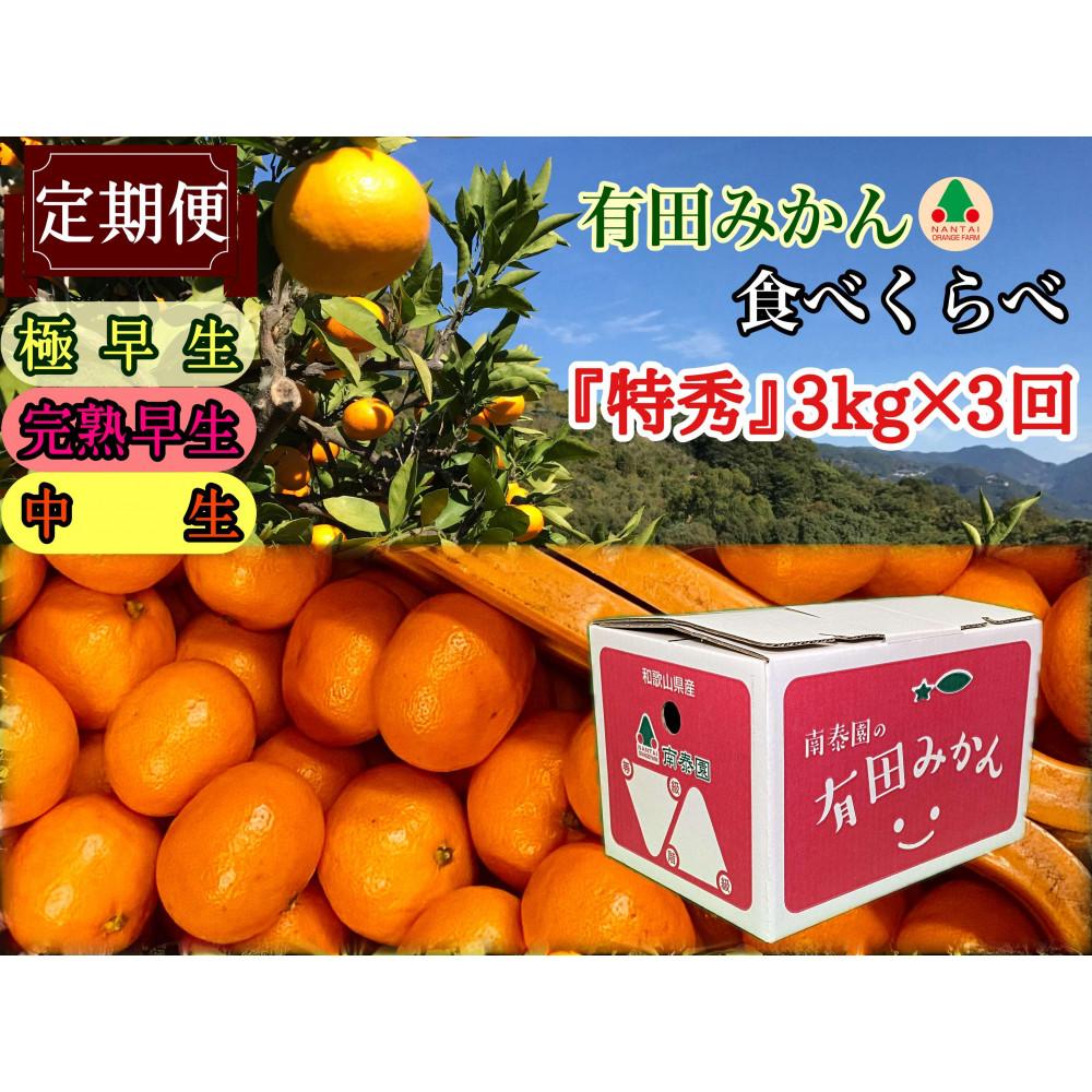 【ふるさと納税】定期便 有田みかん 食べくらべ 3種 特秀 各 3kg コース 全3回 南泰園 みかん | みかん 蜜柑 フルーツ 果物 くだもの 食品 人気 おすすめ 送料無料