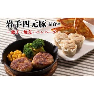 ふるさと納税 花巻市 カスイ　岩手四元豚3種詰合せ 餃子・焼売・ハンバーグ 化学調味料不使用