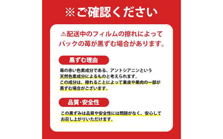 【先行予約】いちご 古都華いちご大粒1P【2027年1月～順次発送】