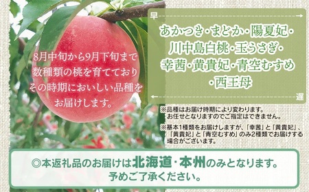 【令和8年産先行予約】 鶴岡市産 桃 (品種おまかせ) 　約2kg　(5～8玉)　くにちゃん農園　K-836