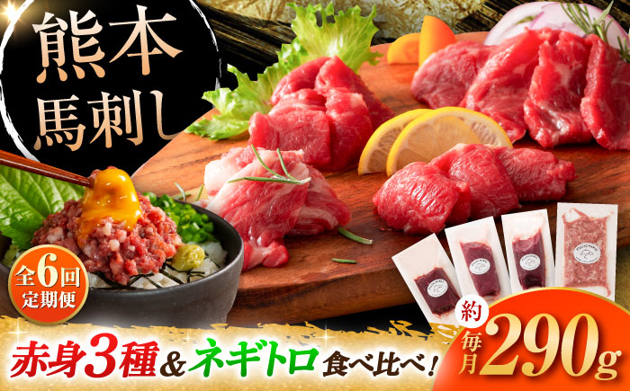 【全6回定期便】【熊本特産】赤身馬刺し3種とネギトロの詰め合わせ 3891【株式会社フジチク】 [BHAD067]