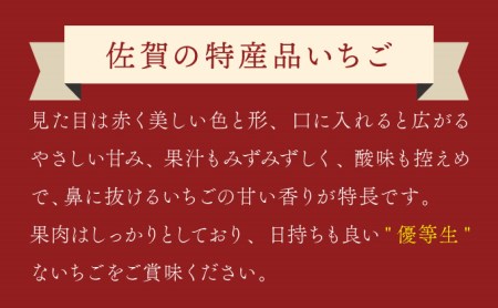 ☆赤い宝石☆佐賀県産いちごさん（240g✕4P）計960g【先行予約開始】2025年1月より発送【数量限定】A-66-AS