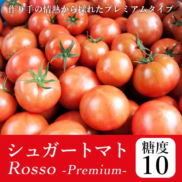 【先行予約・2027年2月】トマト 糖度10度以上 フルーツトマト 1kg｜高知県産 ロッソプレミアム10 高級 ギフト 贈答用 シュガートマト