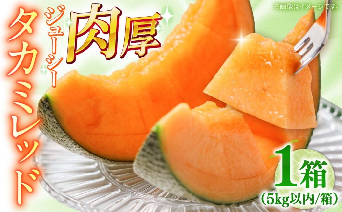 【2026年5月〜発送】タカミメロン レッド 1箱 5kg以内 / メロン めろん フルーツ 果物 / 南島原市 / 南島原果物屋[SCV031]