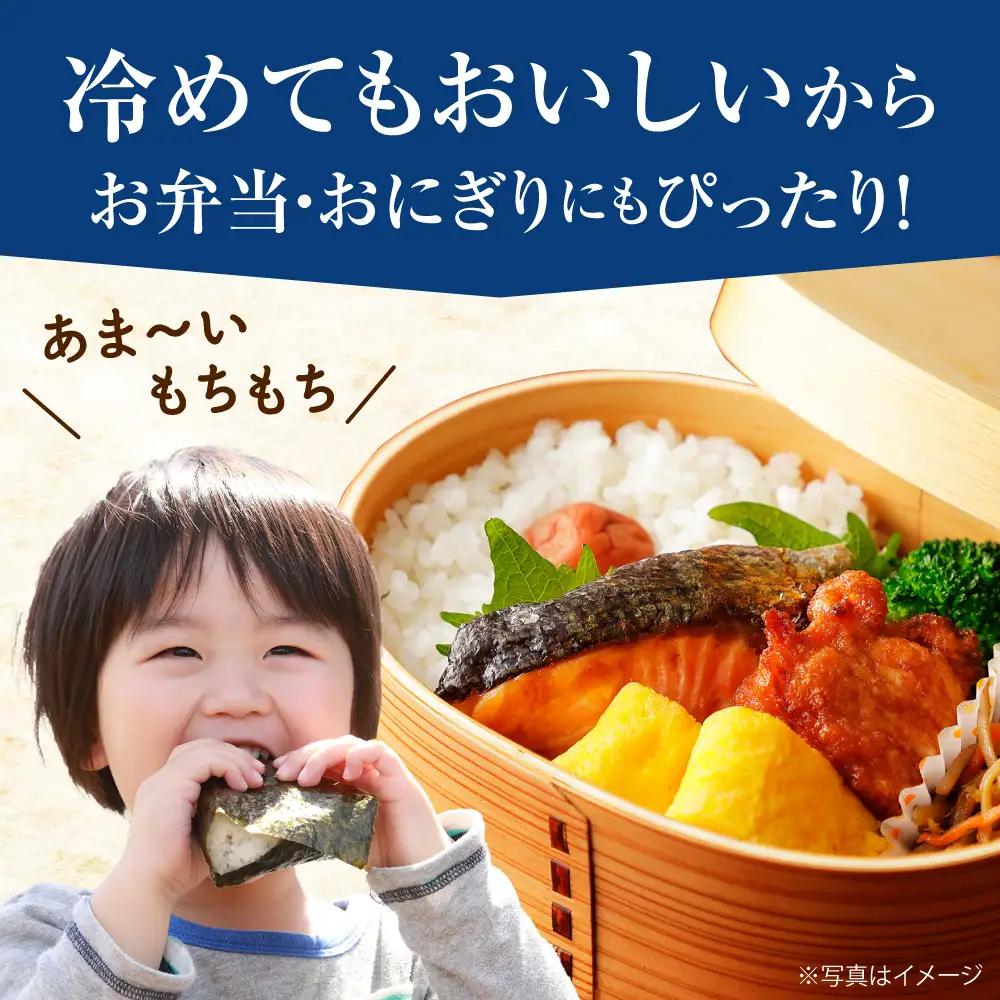 【先行予約】【遠藤ファーム】 はるみ 新米 新米 10kg 令和8年産 [BDAF002]