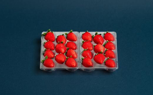 画像はイメージです。