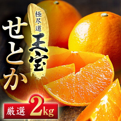 【ふるさと納税】「玉宝ブランド」【せとか】 2kg / 3kg / 5kg /10kg_ みかん せとか セトカ 玉宝 愛媛のみかん 柑橘 果物 くだもの フルーツ デザート 美味しい 濃厚 甘い ジューシー 愛媛 ご当地 愛媛県 八幡浜市 人気 送料無料 【G1511267】