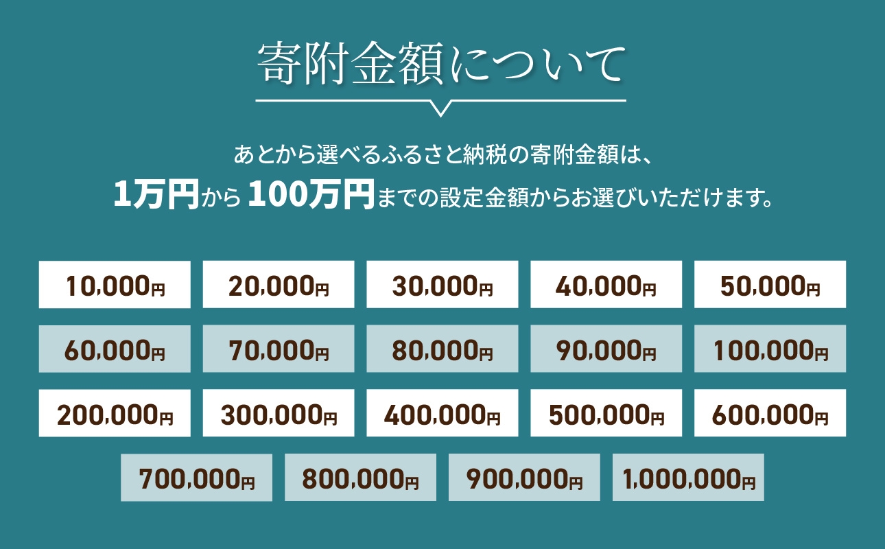 あとからセレクト【ふるさとギフト】９万円