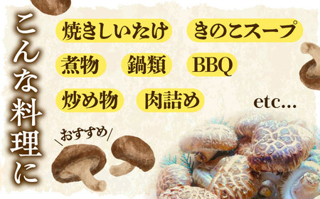 【11月上旬から順次発送】ひじかわの原木生椎茸 約1kg しいたけ 野菜 椎茸 干ししいたけ きのこ[AGBO001]