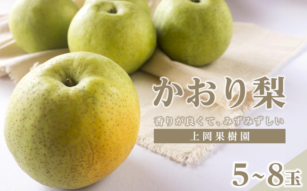 上岡果樹園のかおり梨（2）【5～8玉入り】