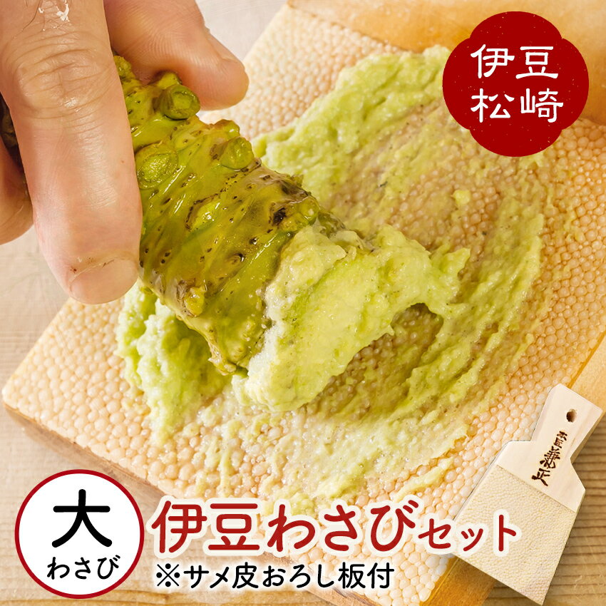 【ふるさと納税】伊豆のわさびセットE わさび セット おろし板 wasabi 生わさび 世界農業遺産 山葵 ギフト 通販　　　ワサビ 本わさび わさび丼 刺身 お寿司 肉 そば 焼酎 ご飯 おにぎり 薬味 ギフト プレゼント 取り寄せ 御中元 お歳暮 産地直送 静岡県 松崎町 伊豆