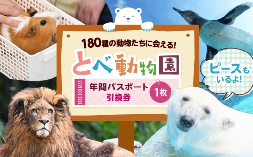 入場券 とべ動物園「年間パスポート」 1枚 / 動物園 チケット 年パス 入場券 優待券 招待券 施設利用券 とべ動物園 愛媛県立 しろくまピース サバンナ観測センター 空中散歩 年パス 四国 観光 家族 子ども 動物 自然 愛媛 砥部 特産 贈答 プレゼント ギフト お祝い 人気 おすすめ 四国観光 入場券 動物園入場 / 愛媛県砥部町/愛媛県動物園協会(砥部町地域振興課) [BJCA002]
