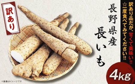 【訳あり】それでも美味しい！こだわって作った産地直送 長野県山形村産 長芋 4kg 箱入れ