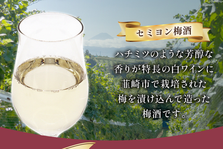 梅酒 白 やや甘口 セミヨン梅酒 500ml 酒 リキュール