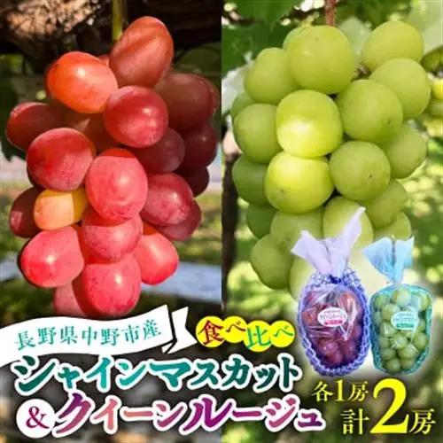 2026年発送　シャインマスカットとクイーンルージュのセット　2房【配送不可地域：離島】【1704049】