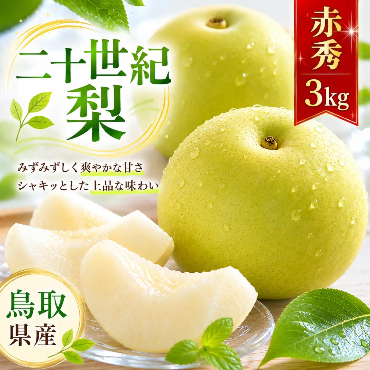 Y497 二十世紀梨(赤秀) 3kg