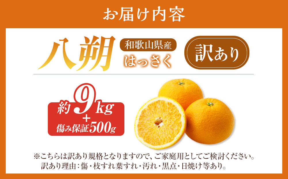 訳あり八朔  約10kg（箱込み）和歌山県産