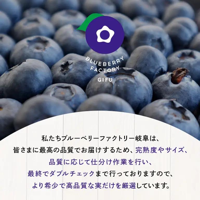生ブルーベリー 600g（100g×6P） A16-021