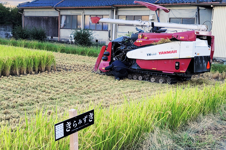 近江米『きらみずき』　化学肥料不使用米　20キロ（紙袋梱包）