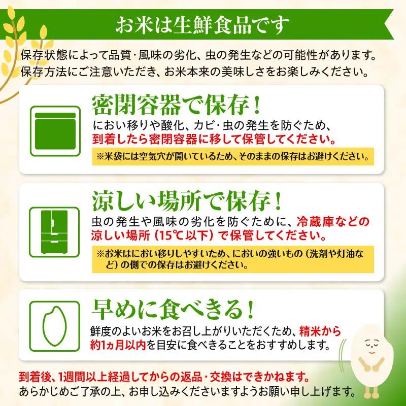 米 コシヒカリ 宮崎県産 5kg 令和7年産 お米 コシヒカリ