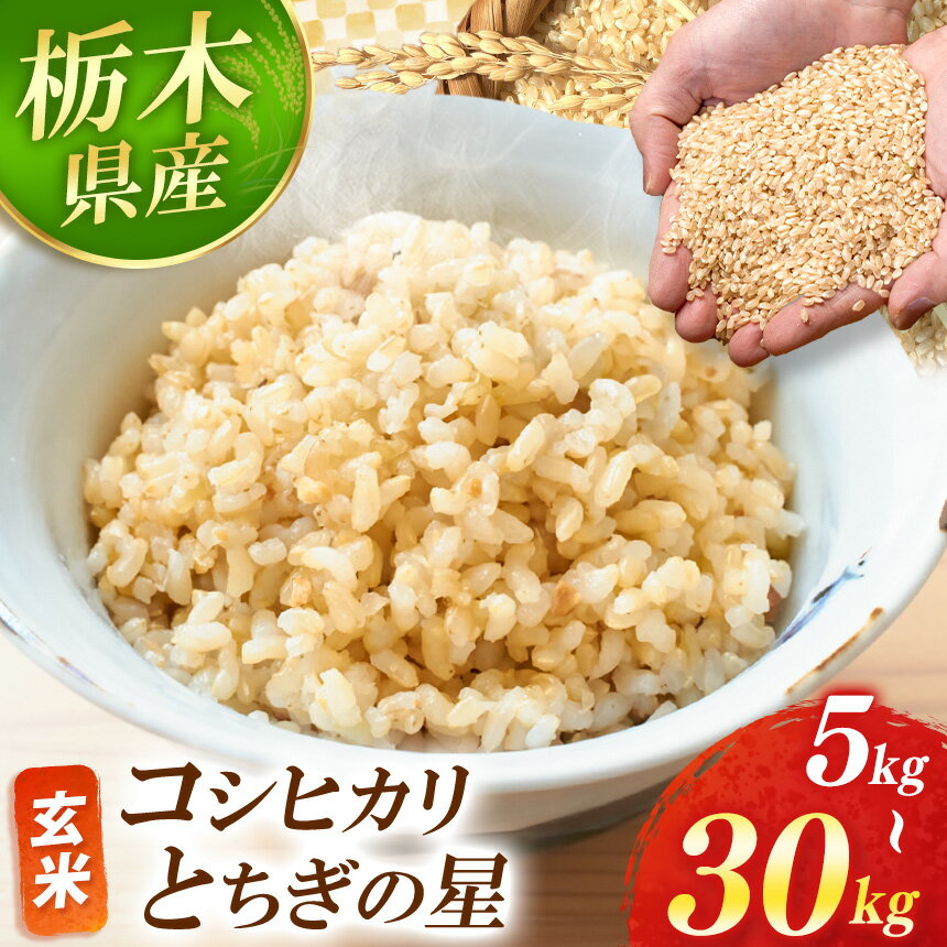 【ふるさと納税】 新米 選べる お米 米 こめ コメ こしひかり コシヒカリ とちぎの星 新鮮 鮮度 ｜ 内容量 品種 5kg 10kg 20kg 30kg | 10月 11月 12月 2025年 秋 先行予約 美味しい おにぎり おかず お米 栃木県 真岡市 送料無料 備蓄米