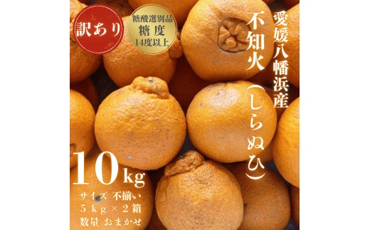 ＜糖度14.0以上酸1.4以下＞糖酸選別品 愛媛産 訳あり不知火(しらぬひ)10kg＜F20-63＞【1620233】 YWTI058