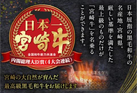 宮崎牛 ヘルシー赤身定期便