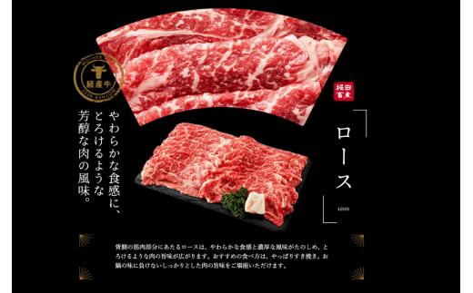 018AA03N.但馬牛経産牛ロース 500g（しゃぶしゃぶ・すき焼き用）／すきやき お鍋用 牛肉 国産 黒毛和牛 赤身肉 霜降り いちかわ精肉店 経産牛 牛肉 しゃぶしゃぶ肉 すき焼き肉 すき焼き鍋