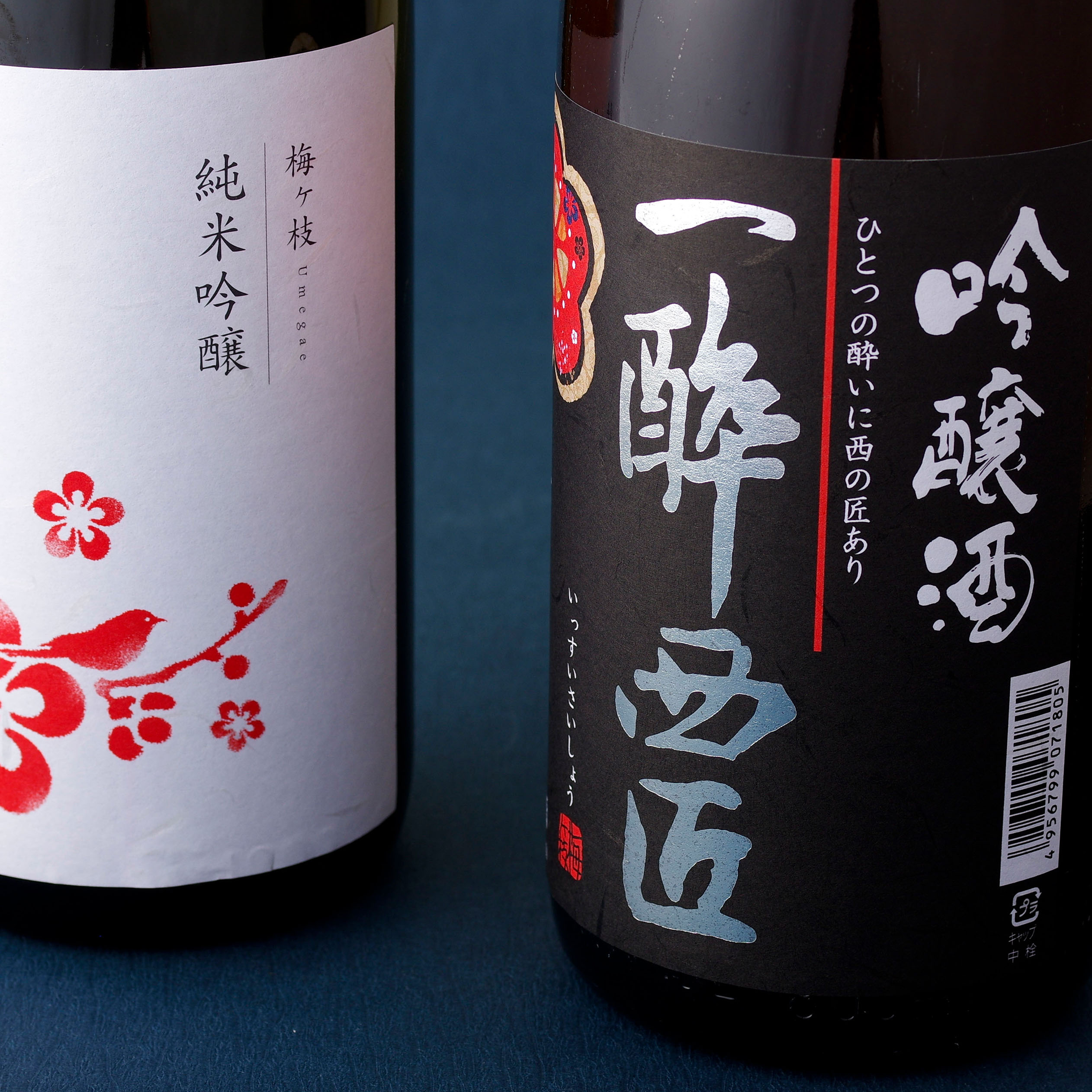 【ふるさと納税】《定期便》香り豊かな純米吟醸・吟醸酒のプチ贅沢一升瓶2本【12回お届け】
