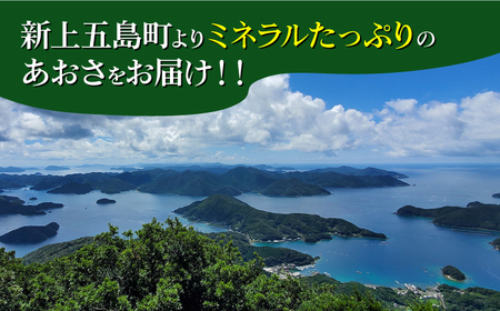 【全3回定期便】【五島列島よりお届け】冷凍 生あおさ 50g×10袋 計500g【上五島町漁業協同組合】[RBN010]