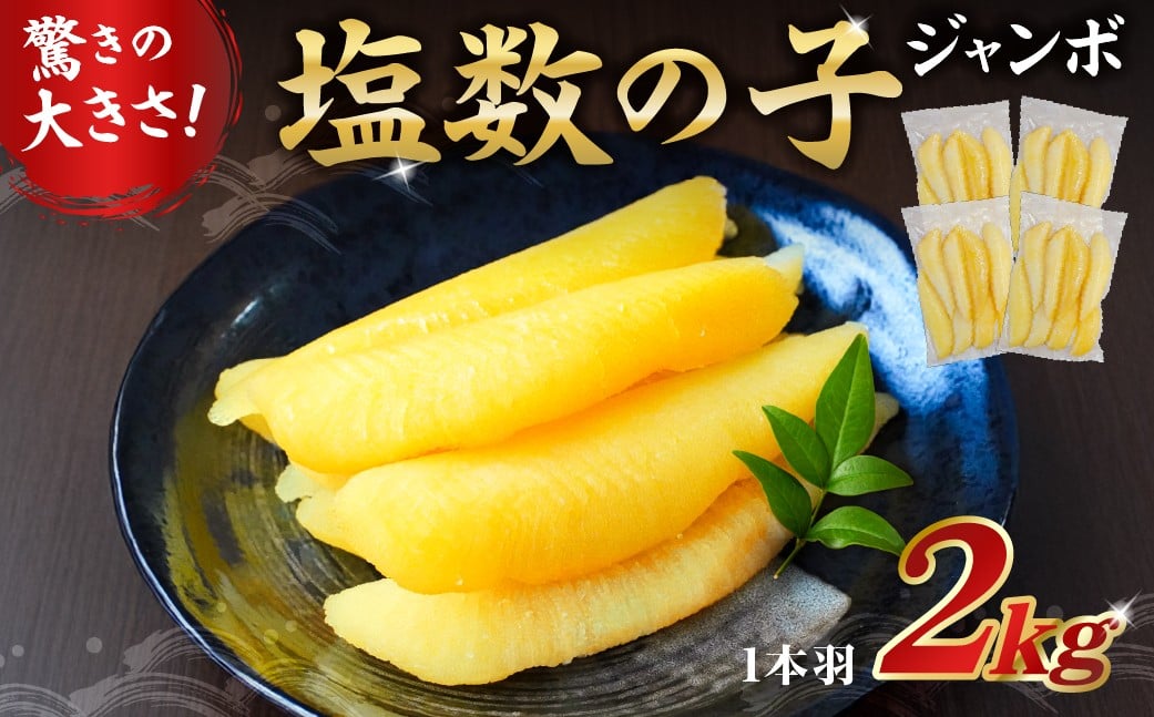 
            【12月21日入金完了分まで年内発送】 【配送月が選べる】塩数の子ジャンボ　1本羽　2kg　小分け（500g×4袋） mi0012-0071-OYA 【数の子 ニシン ジャンボサイズ 海産物 魚卵 レシピ同封 お正月 おせち料理】
          