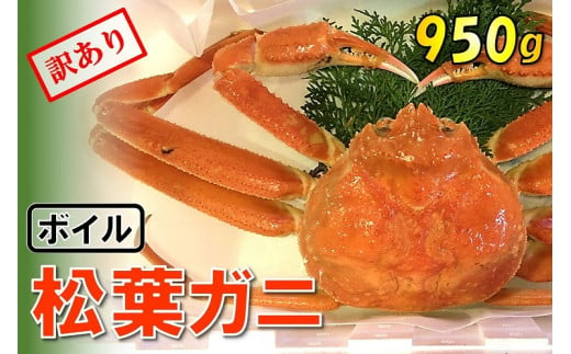 1537 【魚倉】足1本なしボイル松葉ガニ (特大950g) 訳あり