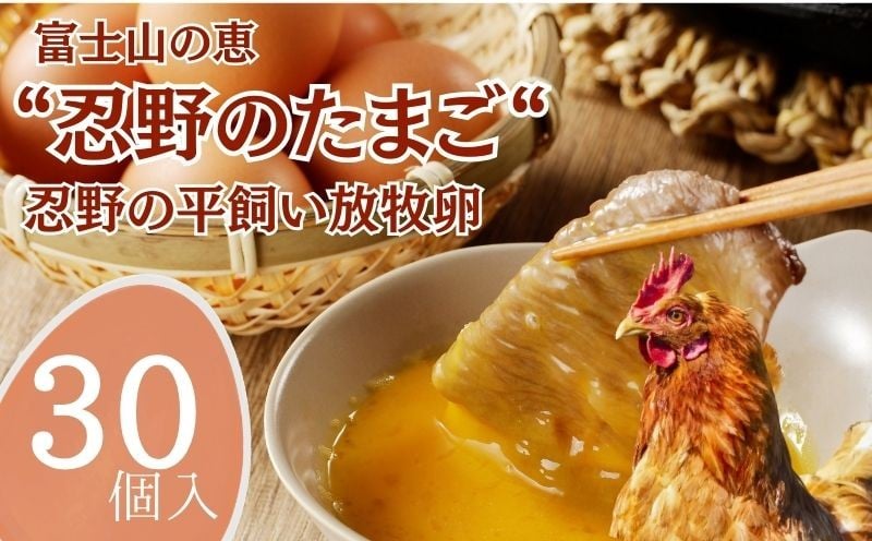 
            忍野の平飼い放牧卵　30個
          